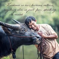 kindness quote_1